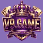 V9 Game